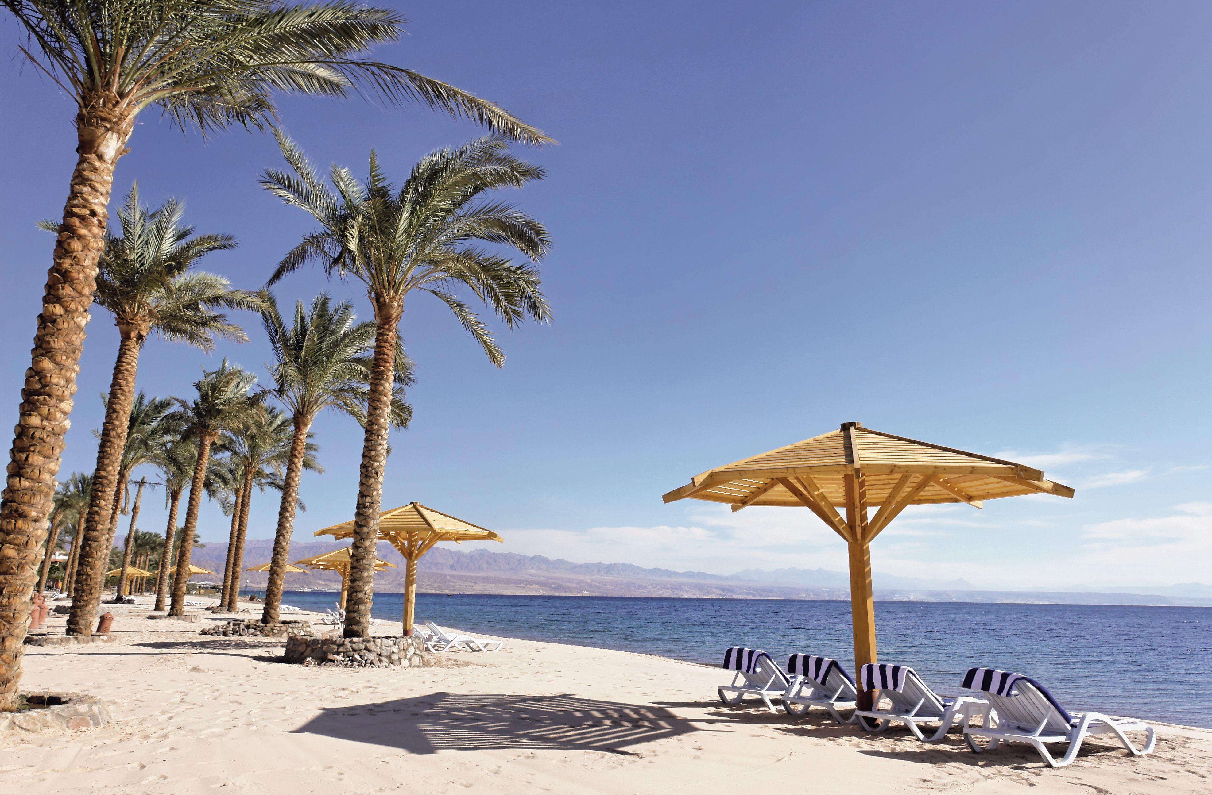 Movenpick Taba Resort & Spa Eksteriør billede The photo depicts a serene beach setting with a clear blue sky. A line of palm trees is seen along the shoreline, providing shade and a tropical ambiance. There are several lounge chairs arranged under a large wooden umbrella, suggesting a perfect sp